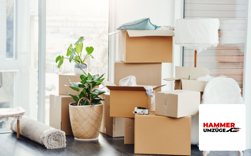 Webdesign Agentur Stuttgart Referenz Umzugsunternehmen